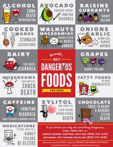 well-14-new-pet-toxicity-poster