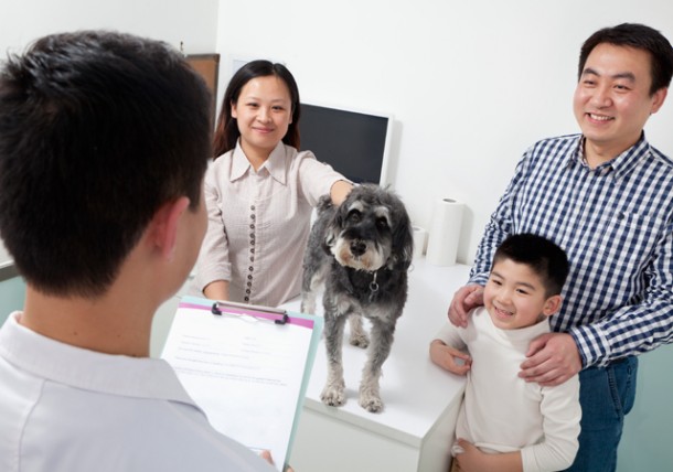 Communicating with Your Veterinarian | Texas Vets TexVetPets