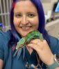 Dr. Kristen Turner with purple and pink hair, holding a chameleon.